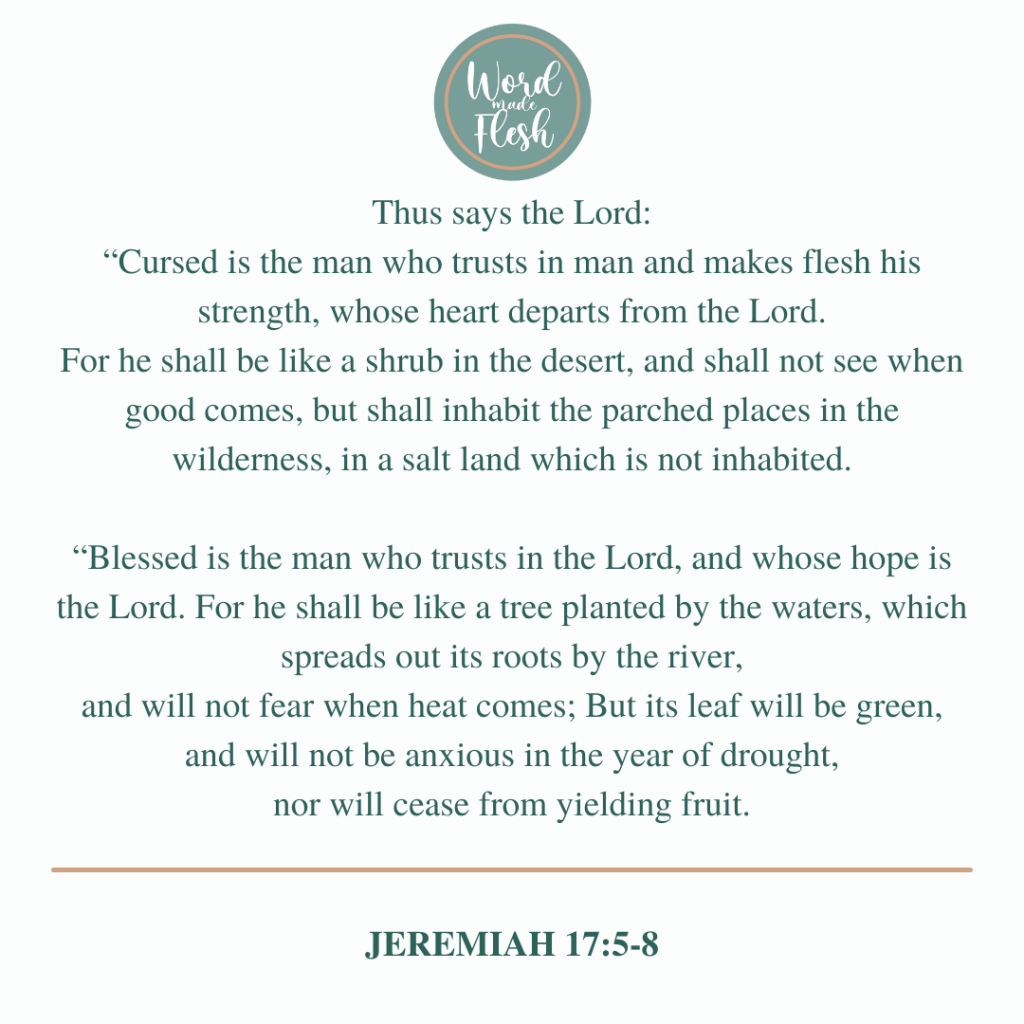 SOURCE, SUSTENANCE AND SUCCESS [JEREMIAH&nbsp;17:5-8]